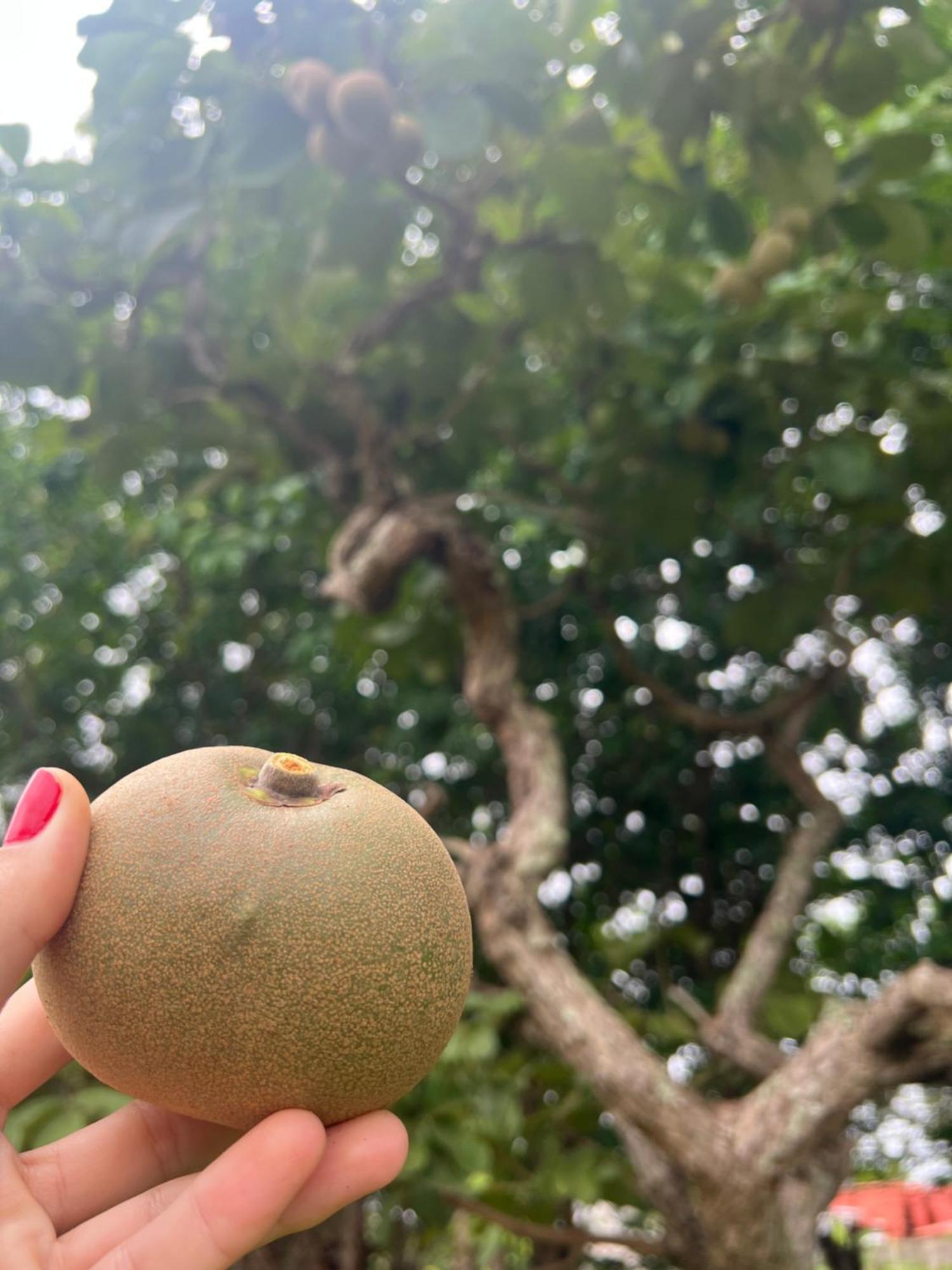 Pousada Ceres 32 Chapada dos Guimarães Kültér fotó